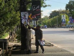 Langgar Perda, Baliho ASR Dicopot Satpol PP dan DLHK Kendari