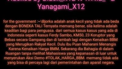 Situs Web Milik Pemprov Diretas, Begini Tanggapan Dinas Kominfo Sultra