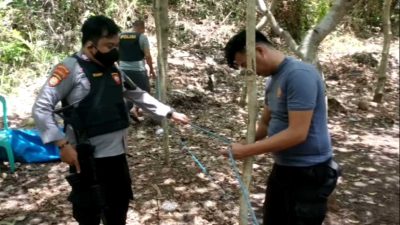 Polisi Gerebek Lokasi Sabung Ayam dan Judi Dadu di Pokambua Wakatobi