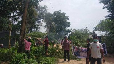 Jalan Rusak Tak Kunjung Diperbaiki, Warga Mowila-Landono Tebang Pohon Blokade Jalan
