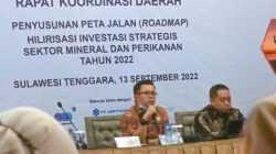 Sekretaris DPMPTSP Sultra, Joni Fajar/Dok. Halosultra.com.