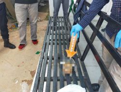 Kronologi Penemuan Orok Bayi di Kendari 