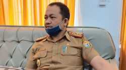 Kepala DPMPTSP Provinsi Sulawesi Tenggara, Parinringi/Ist.