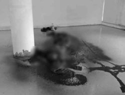 Sosok Mayat Lansia Ditemukan di Bekas Kantor BNK Kolut, Diduga Bunuh Diri