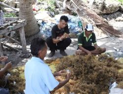 Kolaborasi FedEx Express dan YKAN Berdayakan Masyarakat Wakatobi Menuju Pasar Global