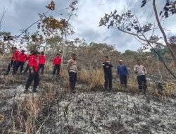 Kebakaran Lahan dan Hutan di Puriala, Konawe Berhasil Diatasi