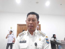 Pj Wali Kota Kendari, Asmawa Tosepu/Febi Purnasari, HaloSultra.com