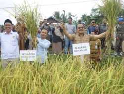 Panen Padi di Wawo Kolut, Parinringi: Pertanian Perlu Didukung dengan Kolaborasi