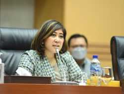 DPR Minta TNI Segera Bebaskan Pilot Susi Air Diduga Disandera KKB