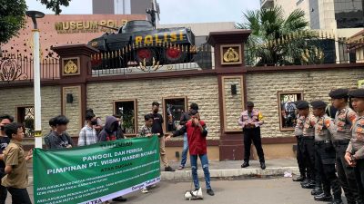 Dugaan Perambahan Hutan, Ampuh Sultra Adukan PT WMB ke KLHK RI dan Mabes Polri