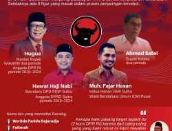 Infografis: Pertarungan Para Jagoan PDIP Sultra Menuju Senayan