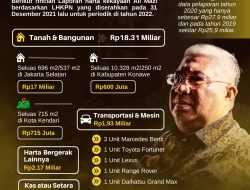 Infografis: Ini Daftar Kekayaan Ali Mazi