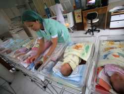 BKKBN Sultra Catat Angka ASFR Tertinggi Berada di Konawe Kepulauan