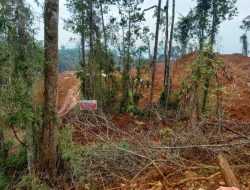 Tambang Ilegal PT MSS Diduga Difasilitasi PT Bosowa Mining