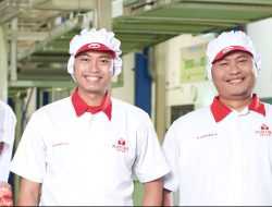 Mayora Buka Lowongan Kerja Penempatan Kota Baubau