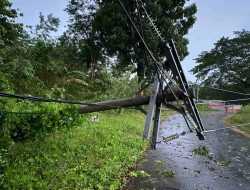 Pasca Cuaca Ekstrem, 114.965 Pelanggan PLN Terdampak