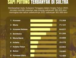 Infografis: Daftar Daerah dengan Populasi Sapi Potong Terbanyak di Sultra