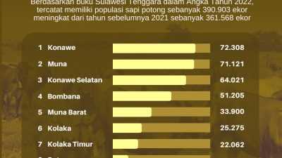 Infografis: Daftar Daerah dengan Populasi Sapi Potong Terbanyak di Sultra