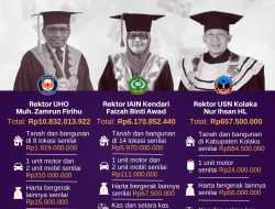 Infografis: Intip Harta Kekayaan 3 Rektor Kampus Negeri di Sultra
