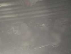 Kebakaran Rumah di Sanua Kendari, Satu Orang Tewas Terpanggang