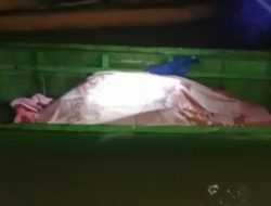 Petani yang Hilang Terseret Arus Sungai di Konawe Ditemukan Meninggal Dunia