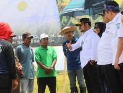 Melihat Potensi Pertanian di Sulawesi Tenggara sebagai Pilihan Investasi