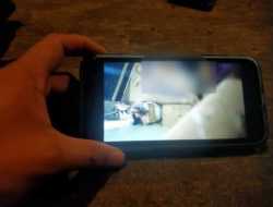 Beredar Video Mesum Diperankan TKA dan WNI di Morosi, Polisi Bilang Begini