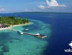 5 Rekomendasi Resort di Wakatobi Pilihan Terbaik untuk Liburan