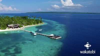 5 Rekomendasi Resort di Wakatobi Pilihan Terbaik untuk Liburan