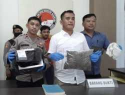 Polisi Tangkap Pengedar Ganja di Kendari, 316 Gram Paket Siap Edar Diamankan