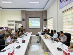 Susun Profil Investasi Daerah, DPMPTSP Sultra Target Peningkatan Pertumbuhan Ekonomi