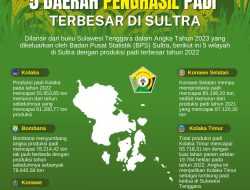 Infografis: 5 Daerah Penghasil Padi Terbesar di Sultra