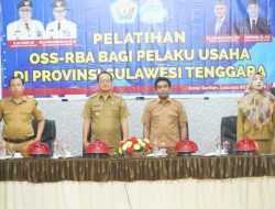 DPMPTSP Sultra Gelar Pelatihan OSS-RBA bagi Pelaku Usaha di Kolaka Utara
