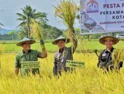 Pesta Panen di Amohalo, Pj Wali Kota Kendari Dorong Peningkatan Produksi Padi