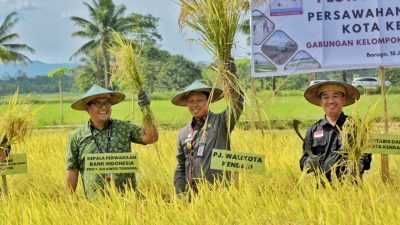 Pesta Panen di Amohalo, Pj Wali Kota Kendari Dorong Peningkatan Produksi Padi