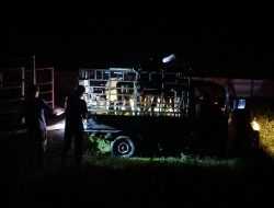 Tak Disertai Sertifikat Kesehatan Karantina, Komoditas Pertanian Asal Siwa Ditahan