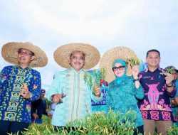 Program 1 OPD 1 Hektar Pemkab Bombana Mulai Membuahkan Hasil