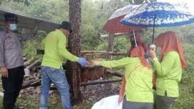 Pastikan Hewan Kurban Aman Dikonsumsi, Distan Kendari Siapkan Tim Dokter