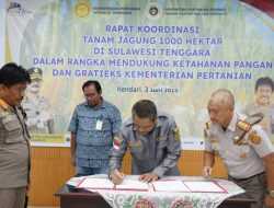 Kementan Dorong Swasembada Jagung, Dukung Penanaman 1.000 Hektar di Konawe Selatan