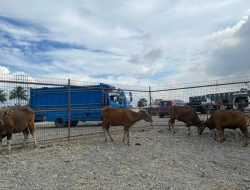 PT VDNI-OSS Sebar Kurban di Lingkar Tambang
