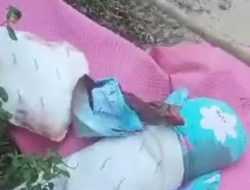 Warga Poasia Temukan Bantal dan Tikar Berlumuran Darah, Polisi Selidiki