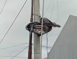 Motor Pencuri BBM Solar di Kendari Digantung ke Tiang Listrik