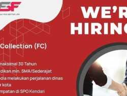 Dipo Star Finance Buka Loker Posisi Field Collection, Penempatan SPO Kendari