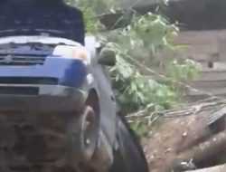 Hujan Disertai Angin Kencang, Pohon Tumbang Timpa Mobil di Kolaka Timur