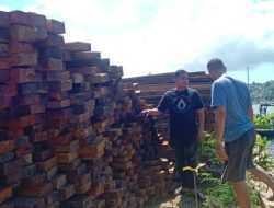 Polisi Ungkap Kasus Illegal Logging di Perairan Buton Utara