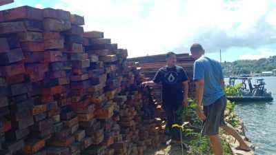 Polisi Ungkap Kasus Illegal Logging di Perairan Buton Utara