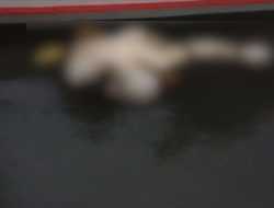 Mayat Tak Utuh Ditemukan Mengapung di Perairan Lambiku Muna