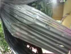 BPBD Kendari Tangani Pohon Tumbang yang Timpa Rumah di Kelurahan Mata