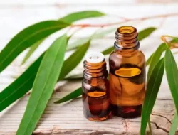 Hindari Mengoleskan Minyak Telon di Area Ini