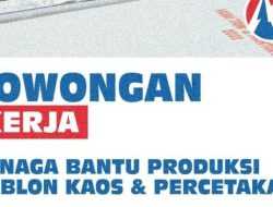 Info Loker Kendari: Napatuju Solusi Buka Rekrutmen Posisi Tenaga Bantu Produksi